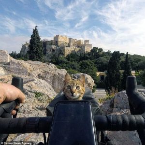 Meet the Cat Who's Traveling Around the World_Bad Yogi