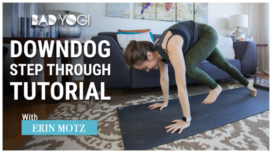 downdog step through tutorial bad yogi