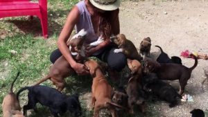 How a Woman Is Saving Dogs During Hurricane Dorian - Bad Yogi