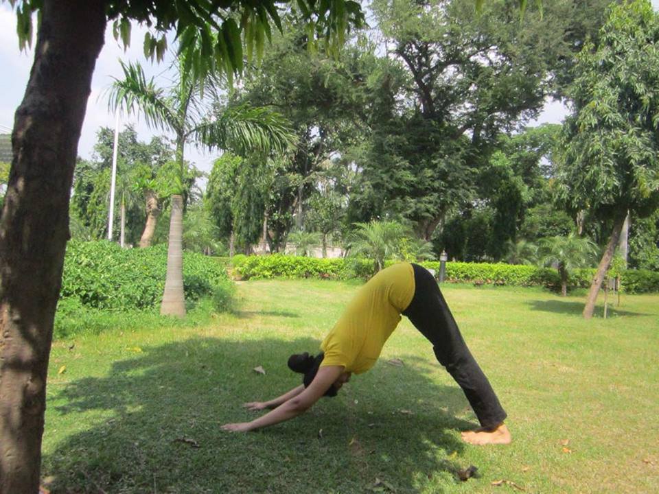 Fine-Tuning the Hatha Yoga Sun Salutation - Bad Yogi Blog