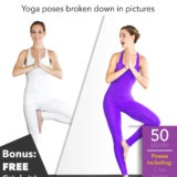 This Not That – Digital Yoga Guide Special